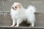 cherie_boheme_edison_IMG_3103.JPG