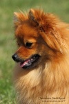 male_slunce_leira_IMG_2939.jpg
