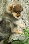Název souboru=nina_narra_stripek_snu_10w_076.JPG
Velikost souboru=185KB
Rozměry=500x750
Datum přidání=13. Září 2016 nina_narra_stripek_snu_10w_076.JPG