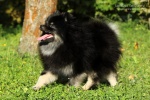 Název souboru=qwen_6m_8S9A2101_750.JPG
Velikost souboru=166KB
Rozměry=750x500
Datum přidání=21. Listopad 2017 qwen_6m_8S9A2101_750.JPG