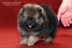 Název souboru=stripek_snu_eragon_eldest_5weeks_20120803_031.jpg
Velikost souboru=108KB
Rozměry=600x400
Datum přidání=03. Srpen 2012 stripek_snu_eragon_eldest_5weeks_20120803_031.jpg