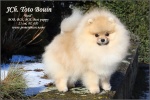 Název souboru=toto_bouin_13m_165_promo_1000.JPG
Velikost souboru=284KB
Rozměry=1000x667
Datum přidání=04. Únor 2019 toto_bouin_13m_165_promo_1000.JPG