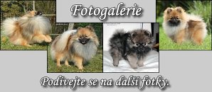 Vstupte do Arnyho fotogalerie!