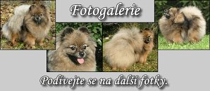 Vstupte do Cárinčiny fotogalerie!