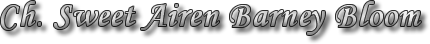 Sweet Airen Barney Bloom