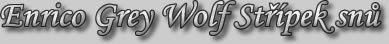 Enrico Grey Wolf Střípek snů
