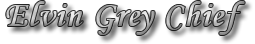 Alvin Gray Chief