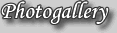 Fotogalerie