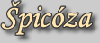 Špicóza