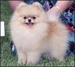 Tiny Baby