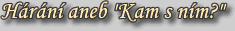 Hárání aneb "Kam s ním?"